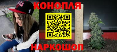 ГАЛЛЮЦИНОГЕННЫЕ ГРИБЫ Новодвинск