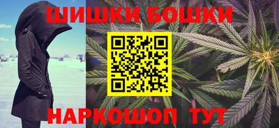 молекула духа Новозыбков