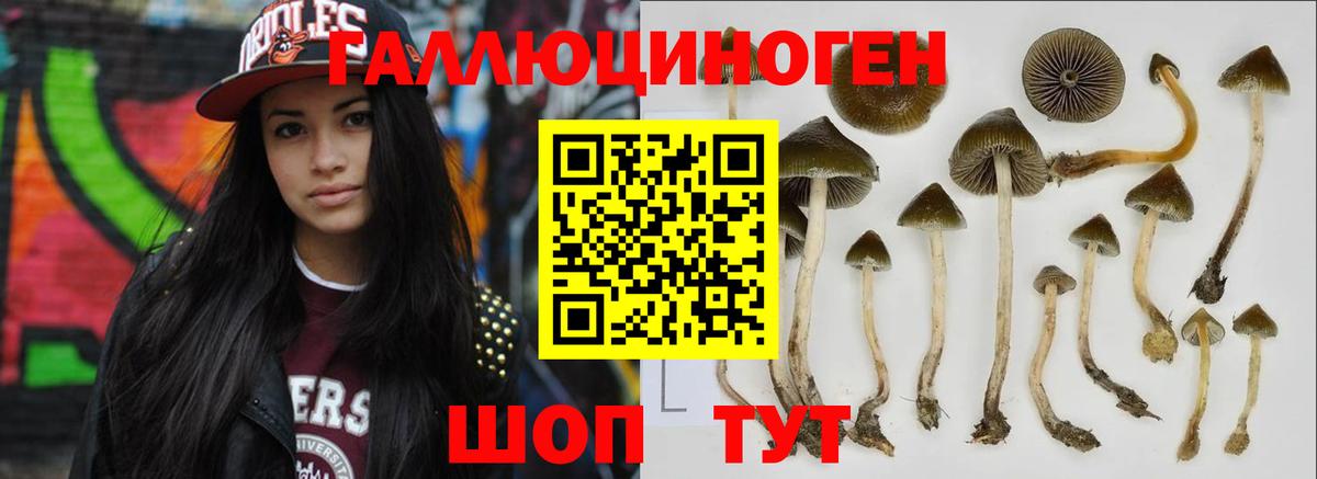 Галлюциногенные грибы мицелий Ржев